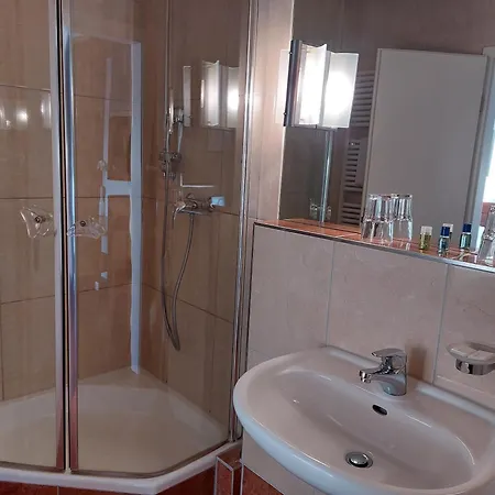 酒店 弗里克酒店 3*